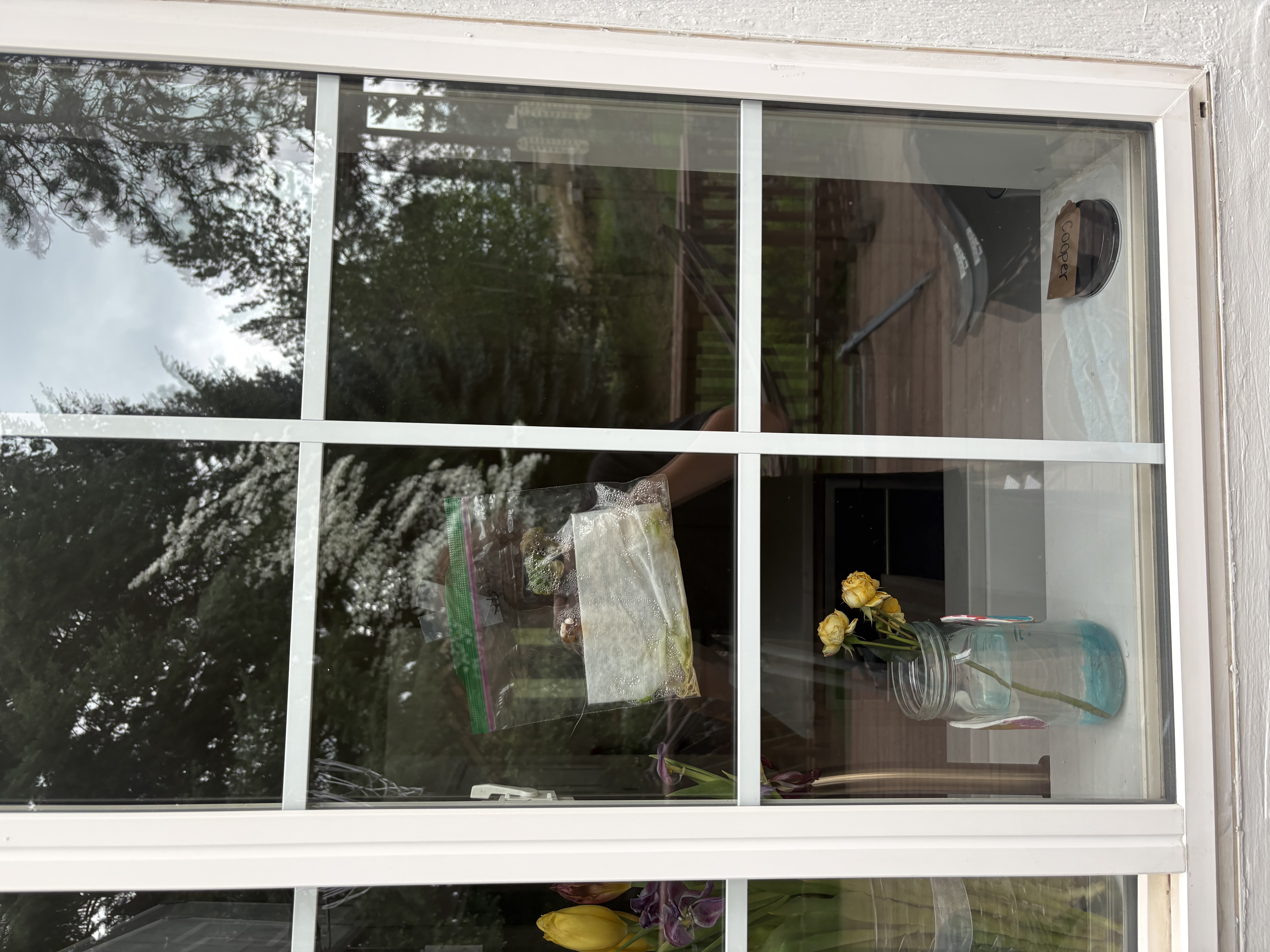 Clean residential windows after service