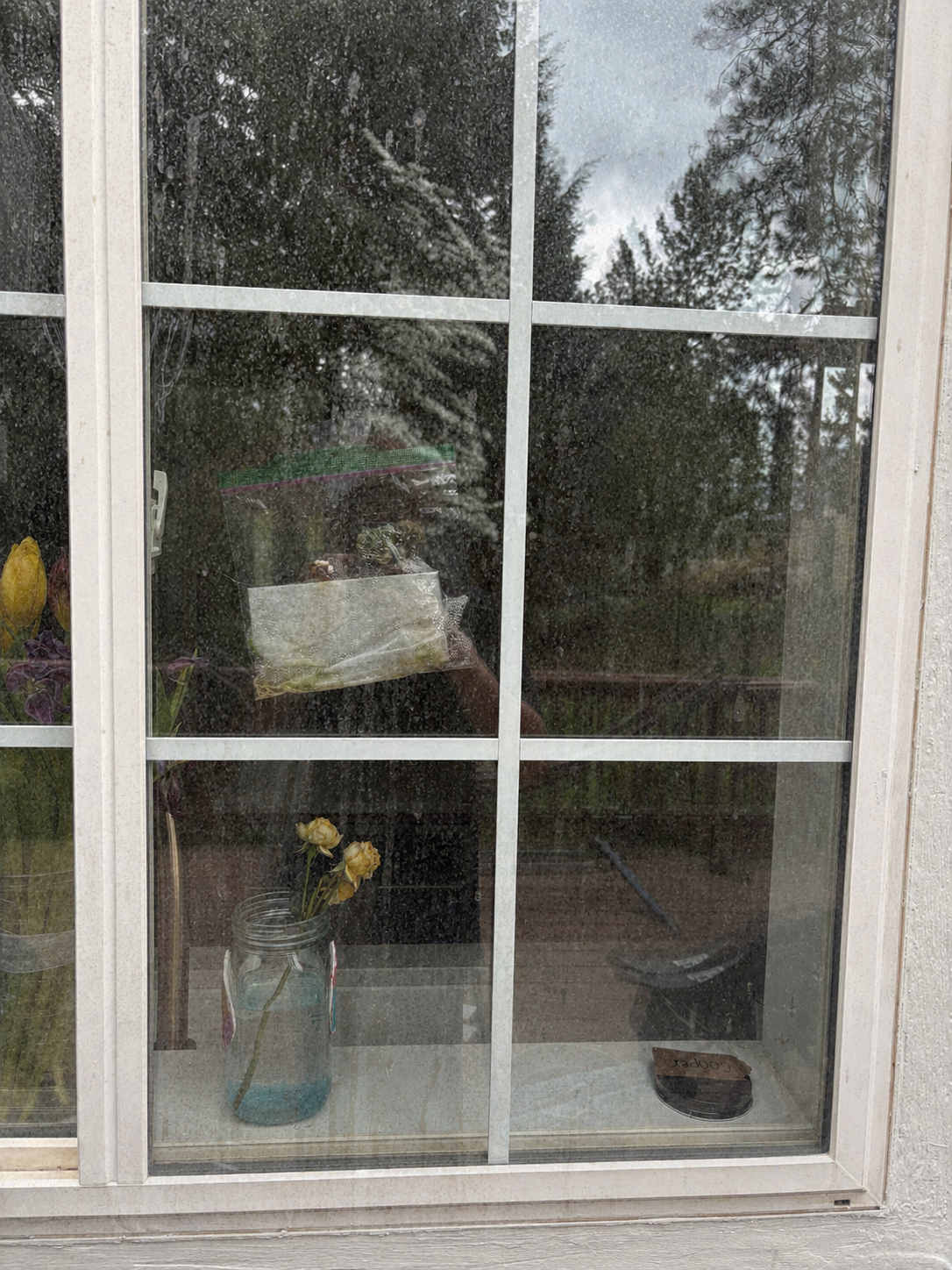 Dirty residential windows before service